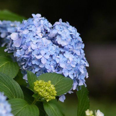 こちらのアカウントでは写真をメインに載せていきます。
写真を掲載する場合はIDをつけていただけると嬉しいです。
撮影依頼はDMにて
作例はRTもしくはメディア欄を参照
20代/♂/関東圏