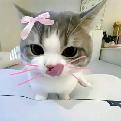 ⋅˚₊‧ chemistry, cat, & book enthusiast𐙚 ‧₊˚ ⋅.
FF UI '25