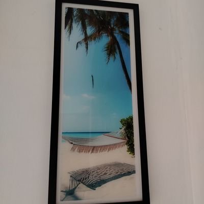 CovadongaC64420's profile picture. 