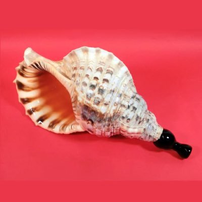 horagaiojisan's profile picture. もしかして@tomokei2