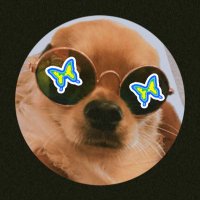 𝟗𝒅𝒆𝒄𝒆𝒎 𐦍⋆ (@nininsx2) 's Twitter Profile Photo 𝟗𝒅𝒆𝒄𝒆𝒎 𐦍⋆ (@nininsx2) 's Twitter Profile Photo