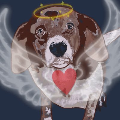 miller_max6128's profile picture. 