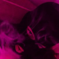 Querosene 🔥 (@bixoselvagem) 's Twitter Profile