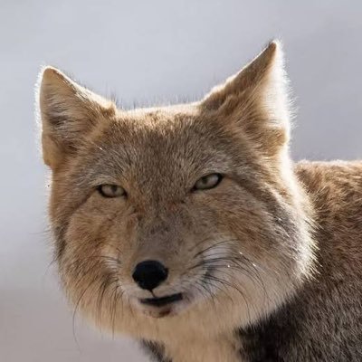 jiro__2's profile picture. @Ciel_blue_sky Dr.と@TokyoRedPark Ba.でした 髭男をこよなく愛しています / バンドがしたいです