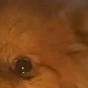 misaroaws's profile picture. 