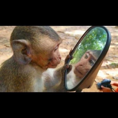 Exploring the power of Bio-enzymes for a cleaner,greener https://t.co/Gz2vRGsA6j friendly solutions|Sustainable science|Nature meets innovation 🌱🧪