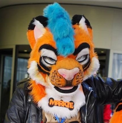 28 Year Old Gay Male Tiger 🏳️‍🌈, Who Loves Hugs & To Support Friends, @JawsNpawsUK Fursuiter, No 🔞 Please.