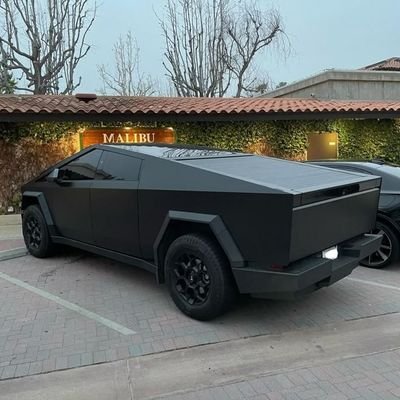 Hhtijjani's profile picture. Turtle Race 🐢🛣️ 
MSSRC🥇