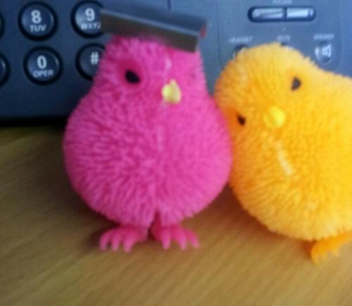 OfficialAlexMan's profile picture. I'm a delightful young chick!