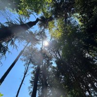 月原昌子 (@mc4adam) 's Twitter Profile Photo