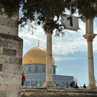 أكتب ليبقى صوت غزة عاليًا… ولتبقى المقاومة حية.