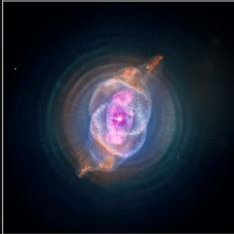 Vedma1060793's profile picture. 