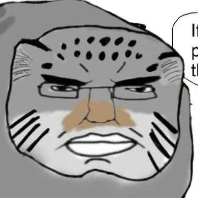 aviation shitposts and fagslop priv: @YappyYapbreak