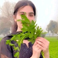 Saba Gul (@sabagul1571265) 's Twitter Profile