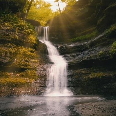kfuhv96273246's profile picture. 