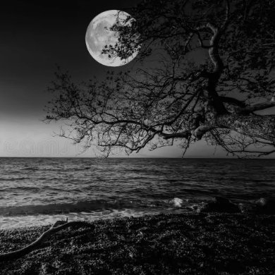 Dheeraj01577704's profile picture. 