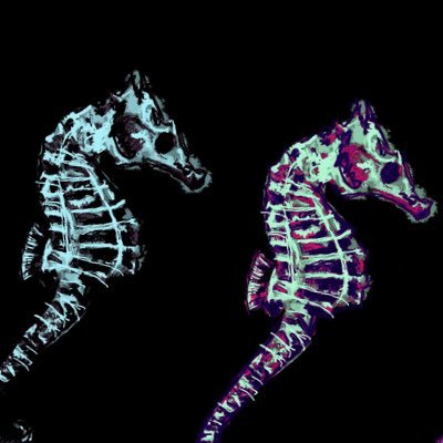 Aonaranachd's profile picture. 1% better each day