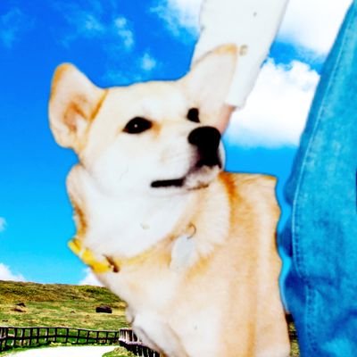 karu0321's profile picture. ゲームが好きだった古の遊び人
■興味関心  旅 / 動物 / 自然 / 電気
■noteもよろしくお願いします