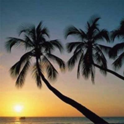 ezvwh86253613's profile picture. 