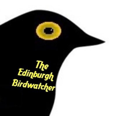 Welcome to the Twitter Page of The Edinburgh Birdwatcher who is passionate about Birding and enjoys filming and taking pictures of Birds & Wildlife.