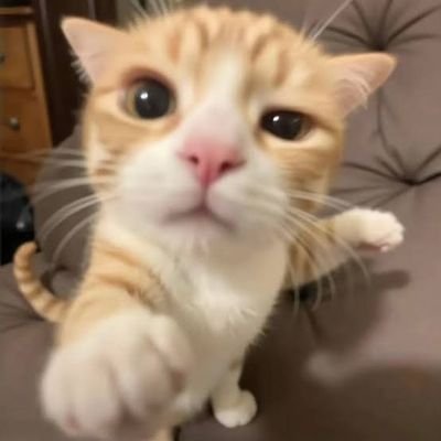 rj_shashwat_'s profile picture. Gojo Pfp from OnePlus Community
| 21  | Backend Developer-Student |
Tech Stuff | co-creating with OnePlus/Oppo. OxygenOS 15 Contributor.