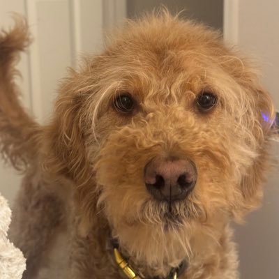 LNT8817657's profile picture. 