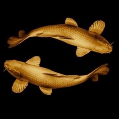 Nada369A's profile picture. 