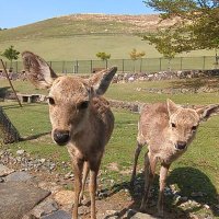 Ukariy (@uk_ariy) 's Twitter Profile Photo Ukariy (@uk_ariy) 's Twitter Profile Photo