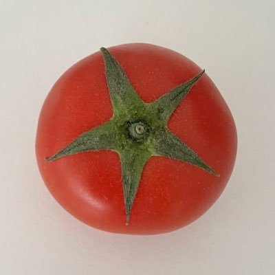 gyooooooooose's profile picture. 지구를 사랑합니다 🌏 경제적자유를 원하는 30대 제약업계 직장인 여성. 미국주식 코인 하고있어요. 🌟리치그랜마가 제 추구미🌟