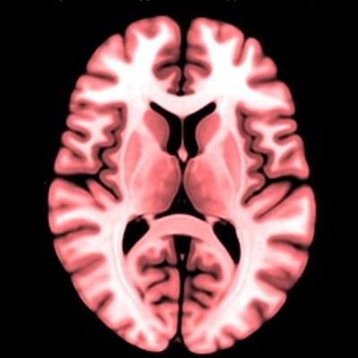 A Psychologist dedicated to sharing interesting facts from Psychology, Psychiatry, Neuroscience, and Behavioural Genetics. =)