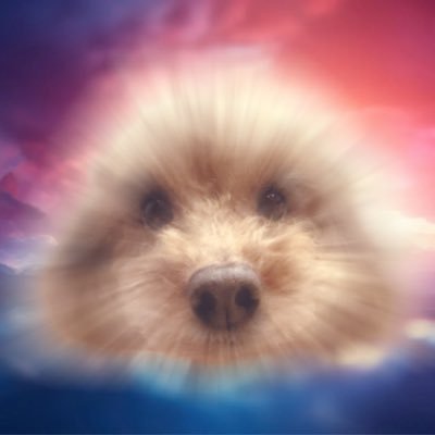 恐怖！妖怪犬ペロ人間！「ペロロ‼️」さんのプロフィール画像