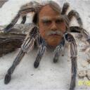 Ted Hart - @Ted_Hart - Twitter