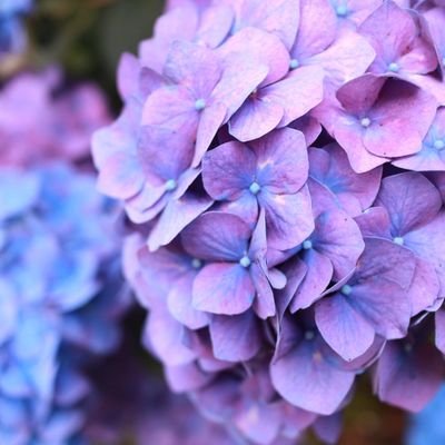 thee_last's profile picture. 🈲を拝むためのROM専アカウントです。３０↑
無言フォロー失礼致します🙇
よく誤字脱字します。少しコスプレ。
ＳＤ.卍.金カム.刀剣.fkmt.ゲ.🌎️.💯が好。
普段🔑です。

ほぼ💯Ⓜ️垢になってます。