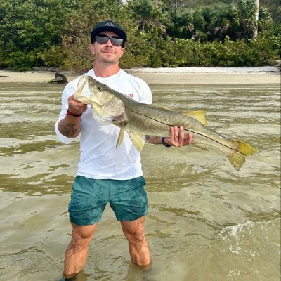 jackfx28's profile picture. Here are my insights on the Forex market.
#xauusd #forex