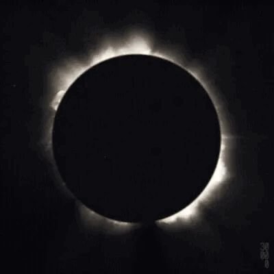 ❝Life before death. Strength before weakness. Journey before destination❞
#Eclipse.
Writing my first novel, and stuck constantly world building.