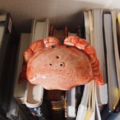 とねりさんのプロフィール画像