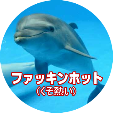 森林樹(喪中)さんのプロフィール画像