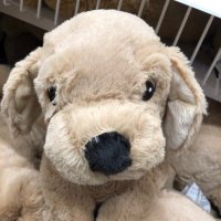 芋 (@carrotmantoux) 's Twitter Profile