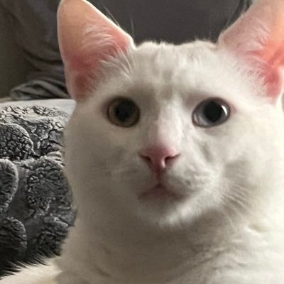 Yasseenkhaled12's profile picture.
