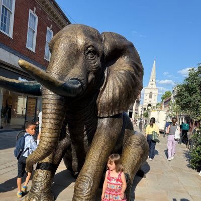 brunacvn's profile picture. 