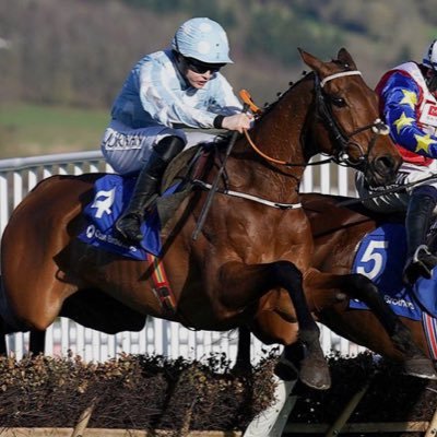 Not a tipster, just here for fun and to post my researched horses!