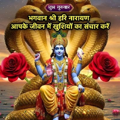 jeetpooja1212's profile picture. No description