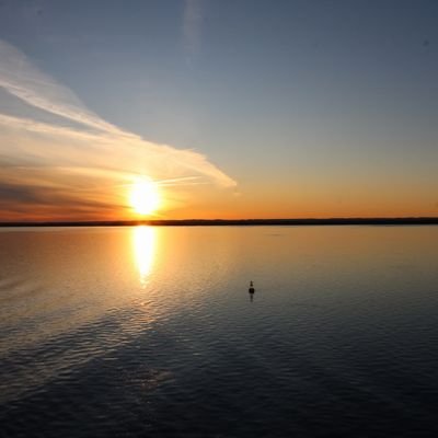 SeamansLegacy's profile picture. 
