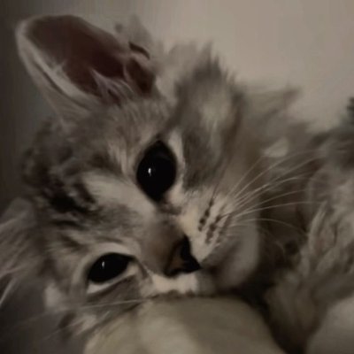 isala731's profile picture. 