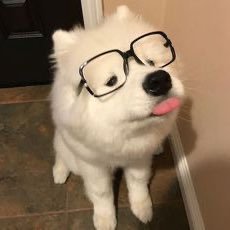 PIMMA1419's profile picture. 0%