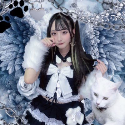 《@f_idol_club》の白色🐾 君の闇を照らします☪︎ たぐ▶︎#MIHOにMIHOれた 猫さん🐈⬛プリンすき🍮リプ返× dm×