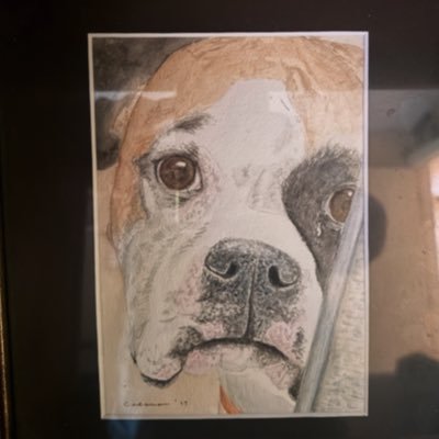 learnthisgame's profile picture. Trying to make a dollar out of 15 cents