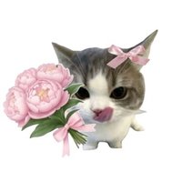 🌠 (@gj4zfdzbeb66443) 's Twitter Profile