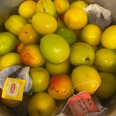 makuchomakucho's profile picture. 