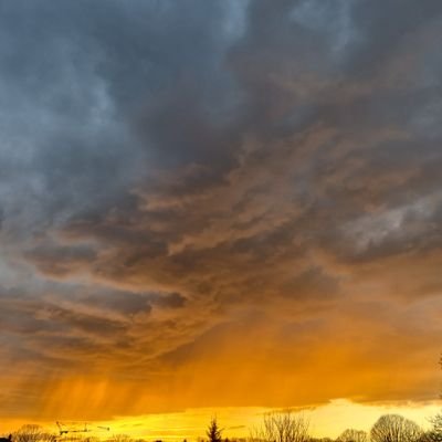 Adrien140215's profile picture. - Standard de Liège ⚪🔴 
- intérêt pour la science/médecine 
- Je relais d'autres sujets société.